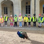 dzieci obserwują pawie pod pałacem.jpg