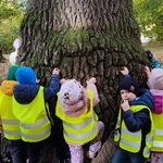 dzieci przytulają drzewo (1).jpg