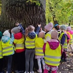 dzieci przytulają drzewo (2).jpg